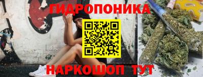 амф Донской
