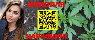 амф Донской