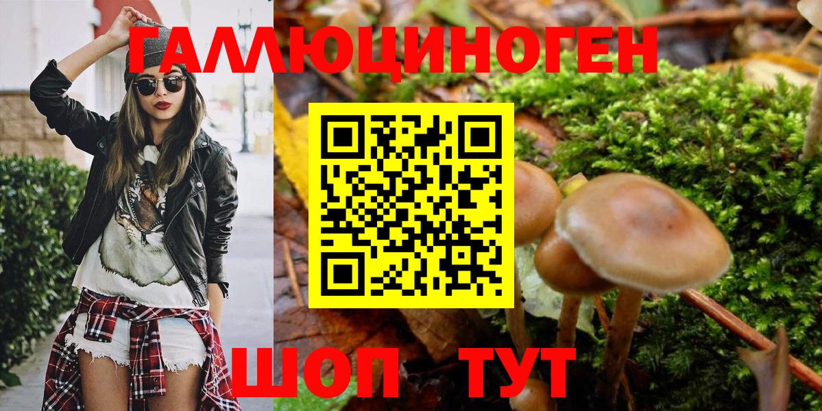 Псилоцибиновые грибы ЛСД  Вход с VPN  Чехов  Галлюциногенные грибы Psilocybe 